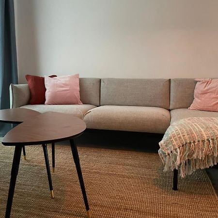 Ferienwohnung * Pension Luisengruen * Magenta Tv Netflix 1Gb/S Internet Wlan/Wifi Waschmaschine Chemnitz Exterior foto