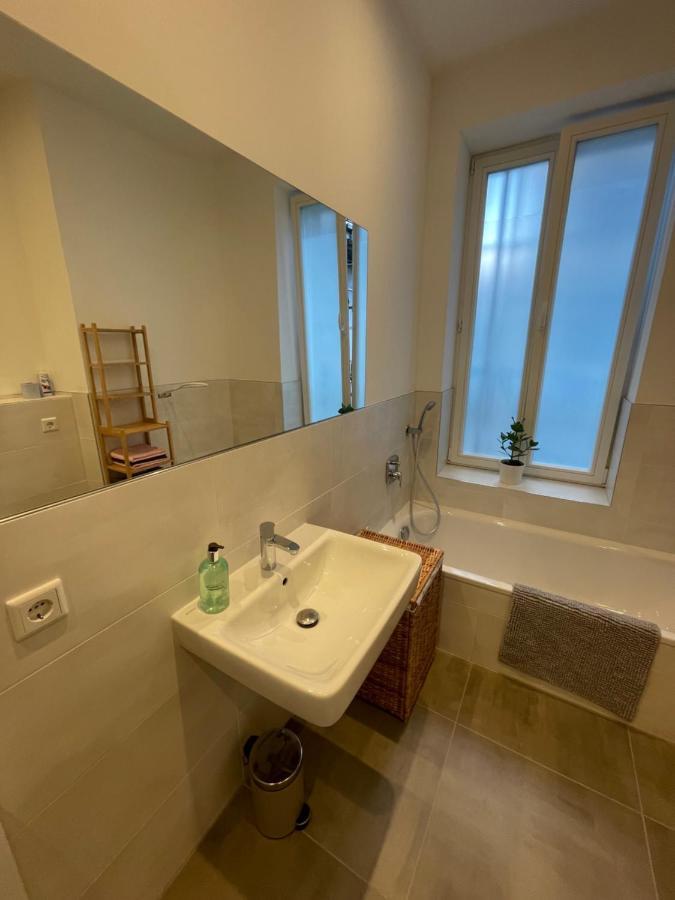 Ferienwohnung * Pension Luisengruen * Magenta Tv Netflix 1Gb/S Internet Wlan/Wifi Waschmaschine Chemnitz Exterior foto